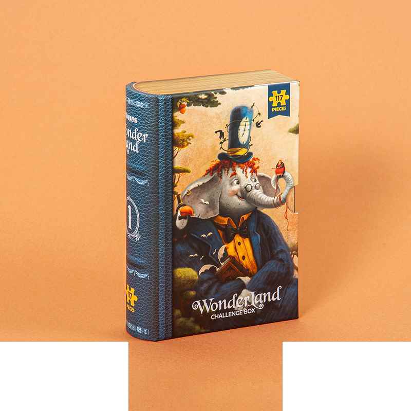130002576_638903554743976311_KS2425 Wonder land Vol.1 (2).jpg