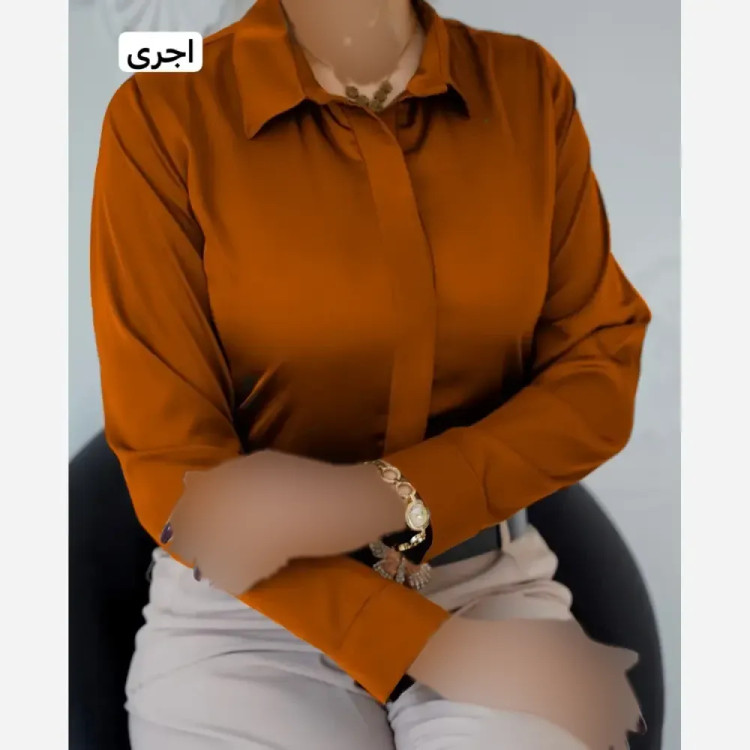 شومیز زنانه براق و لطیف مدل بیسیک دکمه مخفی جنس الیزه اعلا تک سایز قواره دار