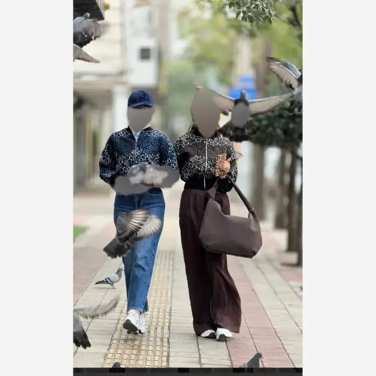 بامبر پلنگی گلیمی فری سایز 36 تا 44