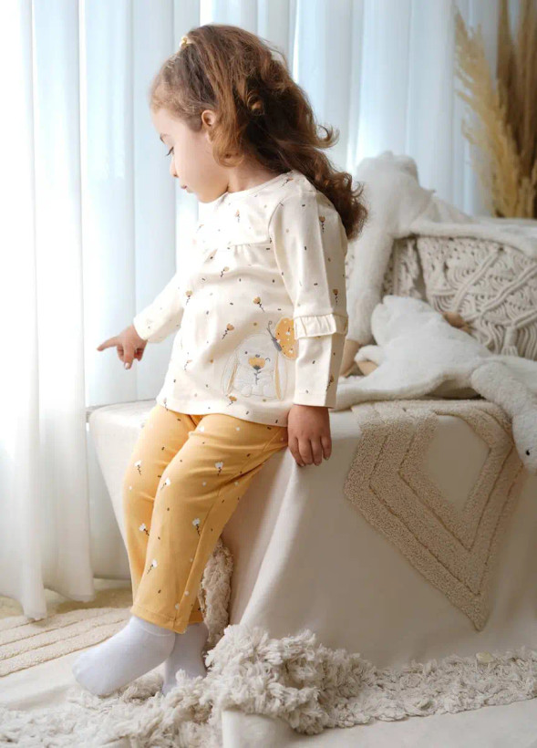 29510_2.webp