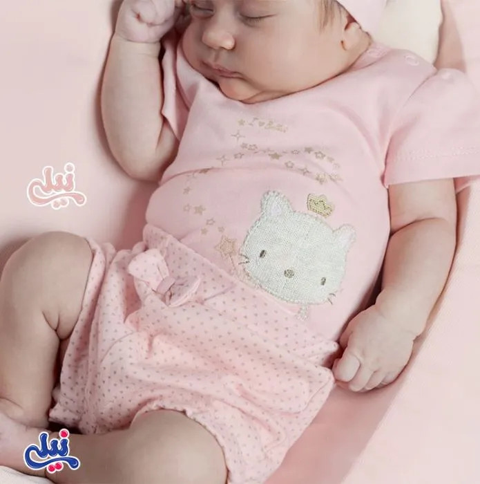 19800_2.webp