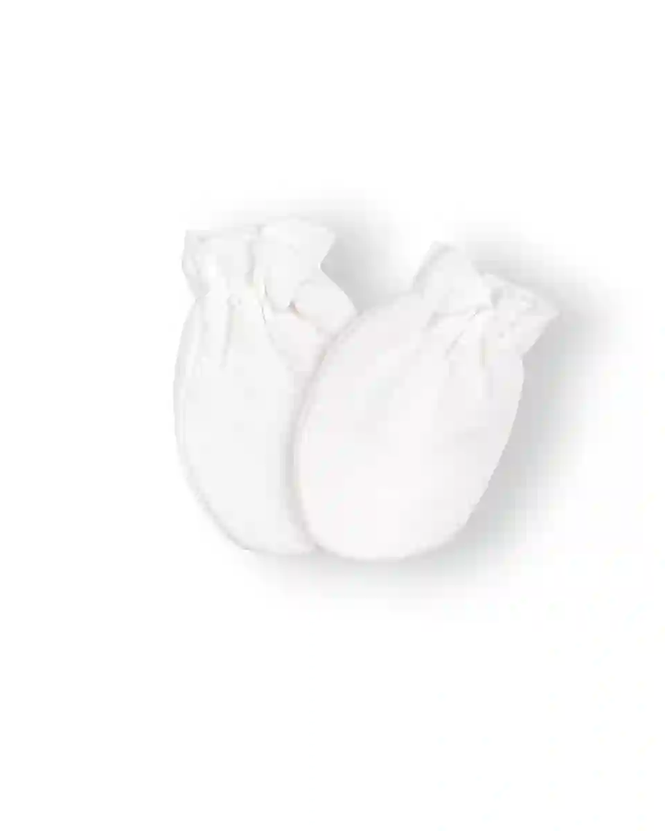 41150_1.webp