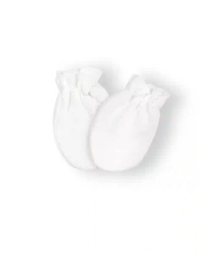 41150_1.webp