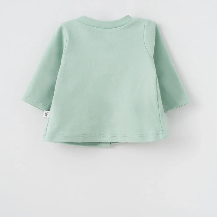 20226_2.webp